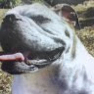 Meet your Posher, Reagan